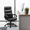 Generic Falcon Value  Executive Chair Basic Tilt Bonded leather Fixed Armrest Height-Adjustable Seat Image