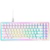 NZXT Function Elite MiniTKL Magnetic Switches Wired RGB Gaming Keyboard White - Special Offer Image