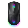 VIDA PRECISION GAMING MOUSE USB RGB, Ambidextrous, Optical, USB Type-A, 12400 DPI, Black Image