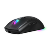 VIDA PRECISION GAMING MOUSE USB RGB, Ambidextrous, Optical, USB Type-A, 12400 DPI, Black Image