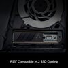 Arctic Cooling ARCTIC M2 Pro - Heatsink cooler for M.2 2280 SSD, ARCTIC TP-3 thermal pads, compatible with PC & PS5  Black Image