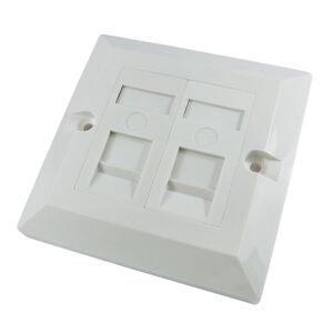 Generic Generic  CAT5e SINGLE GANG FACEPLATE, with 2 pre-installed modules, white